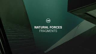 Natural Forces - Motion - Dispatch Recordings 180