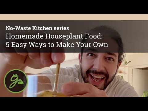 5 Easy Ways to Make Your Own Homemade Houseplant Food: No-Waste Kitchen - Episode 2