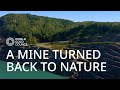 How is a mine restored back to nature? Gold: A Journey with Idris Elba