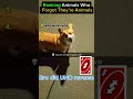When animals forgot who they were