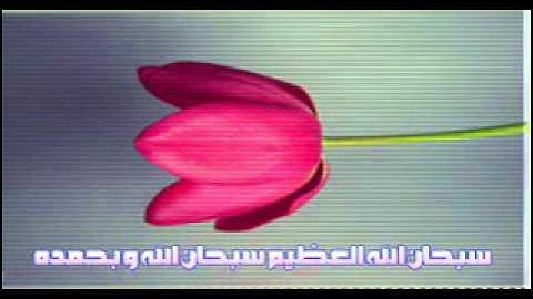سورة آل عمران بصوت الشيخ أحمد الحواشي .wmv