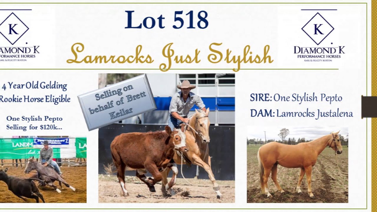 Landmark Classic Sale Horses 2016 YouTube