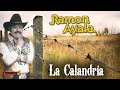 Ramon Ayala - La Calandria