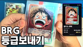 26년 10월 포켓몬카드/원피스카드 BRG 등급 보내기!