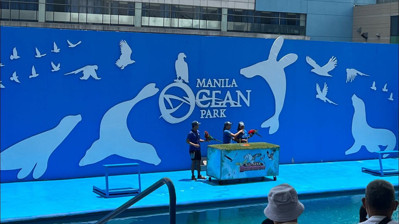8 Attractions inside MANILA OCEAN PARK 2023
