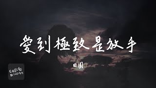 田園 - 愛到極致是放手『回憶夜夜 拉扯著傷口 寂寞苦果 我自作自受 愛到極致是放手 再痛也忍著淚流』【動態歌詞/PinyinLyrics】