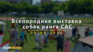 Сухой корм KORWOOD | Всепородная выставка собак ранга САС (2022)