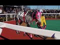 【パカパカ動画】スモモモモモモモモ 20241223 浦和競馬場