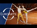 The Ninth Symphony by Maurice Bejart - Full Dance Event | Zubin Mehta, Tokyo Ballet, Béjart Ballet