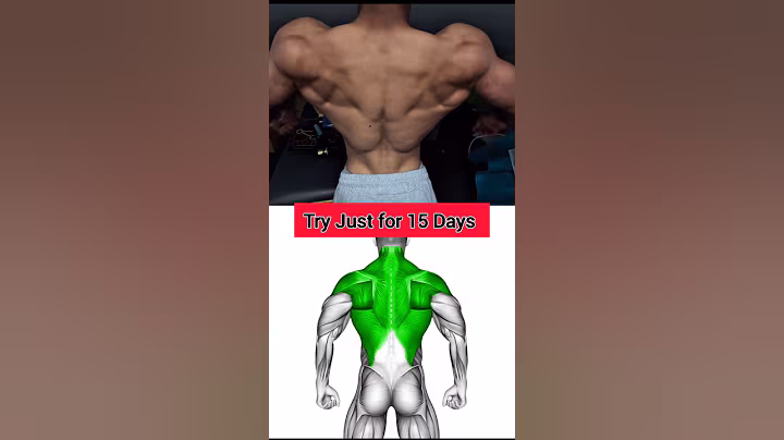 4 Killer Back Bodyweight Exercises #shorts #youtubeshorts #ytshorts #youtube #viral