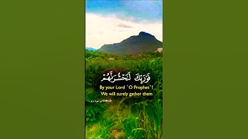 قران_كريم تلاوة خاشعة راحة نفسية تخشع له القلوب #قران_كريم #قرآن #elmulquranعلم #المصحف #اكسبلور