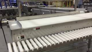Super Sanitary Conveyor to Hand-Pack System using Multiple Technologies by Multi-Conveyor