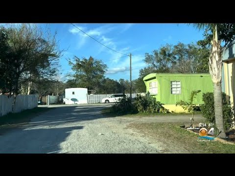 New born baby found abandoned on hill near Florida trailer park