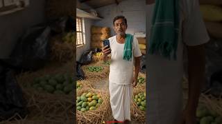సహజంగా మామిడి పండ్లు పండించే టెక్నిక్ 🥭 | Organic Mango Ripening Method | AI రైతు