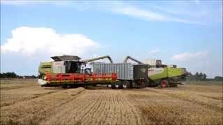 BIG HARVEST- Claas Lexion 770 TT &amp; Fendt 939-933 Black Beauty !!!