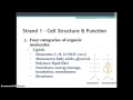 Cell Structure and Function Insights in Biology