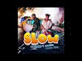 Camidoh  - Slow feat Magixx  x Young King (Audio)