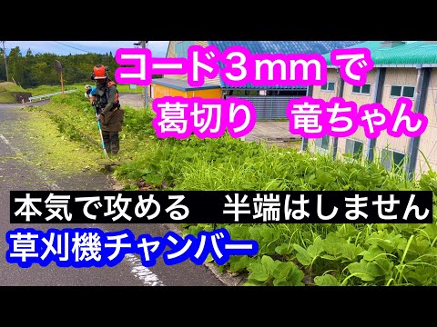 売れなかったら今シーズン又つかうなので近く削除します。 最適化】42Z1さん。10年の長い間、お疲れ様でした。｜HIROBLO