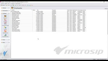 Microsip Nómina: Cómo exportar el catálogo de empleados a excel