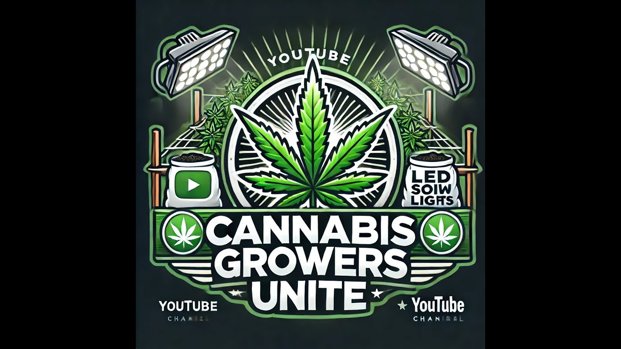 Strain Grow Profile : Girl Scout Cookies