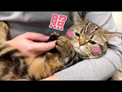 大好きなパパとの３日ぶりの再会に照れて本領発揮出来ない猫が可愛いw