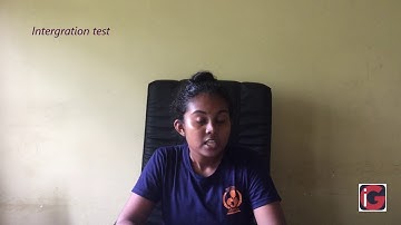 Industrial Law - Contract of Service vs Workman TESTS