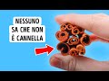 Curiosità Alimentari che Potenzieranno il Tuo Spirito da Gourmet
