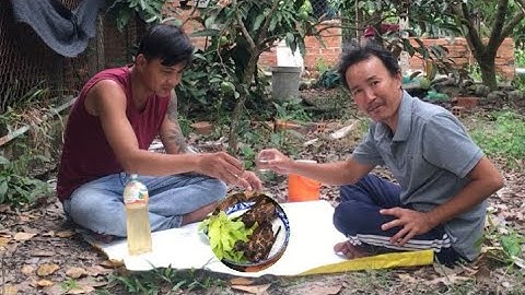 Bắt con Bồ câu đem đi nướng mọi / làm vài ly rượu đế cho thấm tình quê hương - Ngọc vũ Vlog