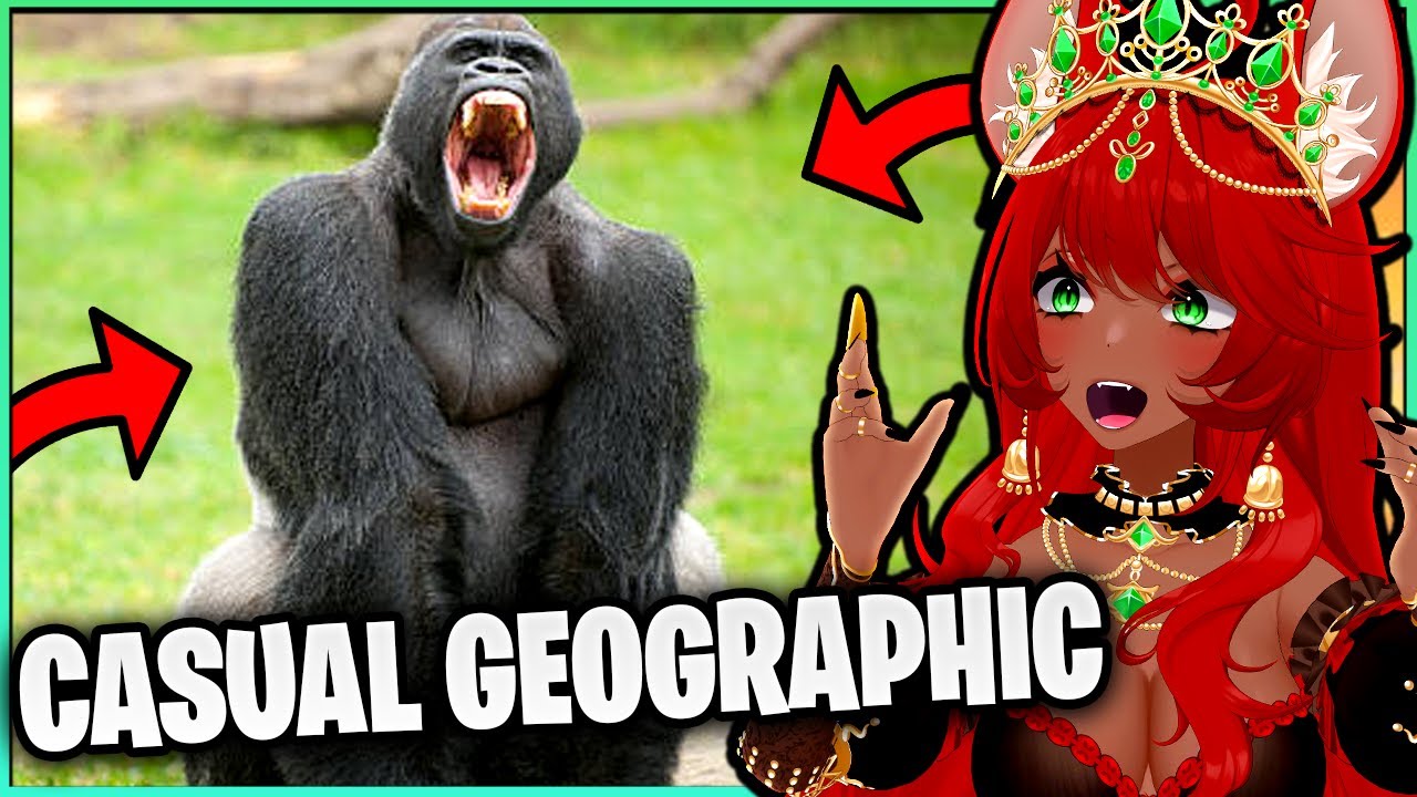 100 MEN VS 1 GORILLA !! | Casual Geographic Reaction