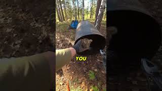 Download Lagu 😭🍔I Saved A Baby Tiger While Making Burgers... 😭🐯 MP3