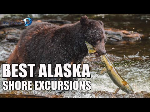 Vidéo: Excursions en croisière en Alaska : Holland America Eurodam