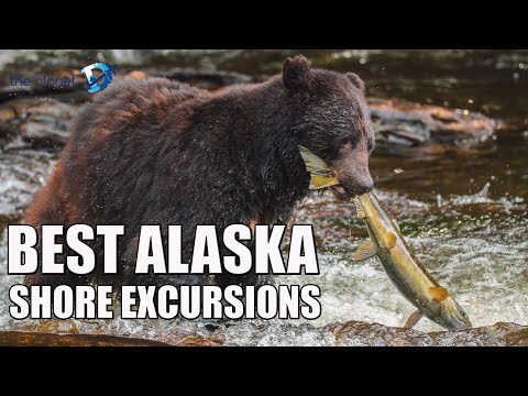 Best Alaska Cruise