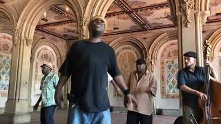 must see! “Stand by Me” Cover Story （Acapella Soul） Wonderful！New York Central Park