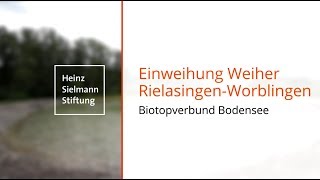 Sielmanns Biotopverbund Bodensee - Neuer Weiher In Rielasingen-Worblingen
