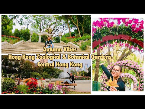 Video: Botanische en zoölogische tuinen (Hong Kong Botanische en Zoölogische Tuinen) beschrijving en foto's - Hong Kong: Hong Kong