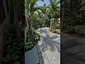 Backyard like 5-Star Resort 😳🌴🔥