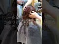 ハンガリー出身のお客様 ブリーチ毛の縮毛矯正