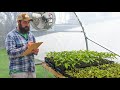 Crop Planning Tips for Market Gardening