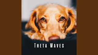 Mindful Pet Harmony