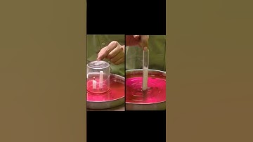 SCIENCE EXPERIMENT | MY CLASSES | BY BHASKAR SIR #bhaskarsir #scienceexperiment #myclasses #shorts