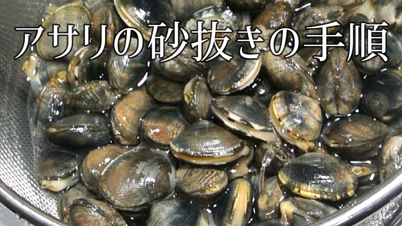 あさりとはまぐりの砂抜きの仕方【潮干狩りに行ったら見る動画】