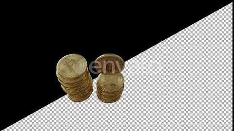 Bitcoins | Motion Graphics - Envato elements