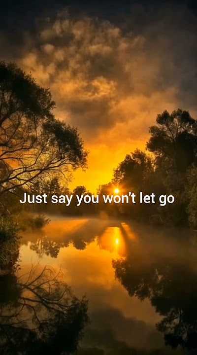 #Nᴀᴛᴜʀᴇ: Sᴀʏ Yᴏᴜ Wᴏɴ'ᴛ Lᴇᴛ Gᴏ