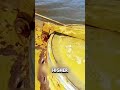 Farmer Drives Through a Flood! 😰😬
