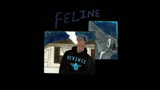 Feline Ft. Polo G, Trippie Redd, &amp; Lil Yachty (Released, OG, Studio Session, &amp; Yatchy verse)