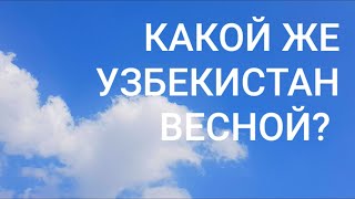 КАКОЙ ЖЕ УЗБЕКИСТАН ВЕСНОЙ?