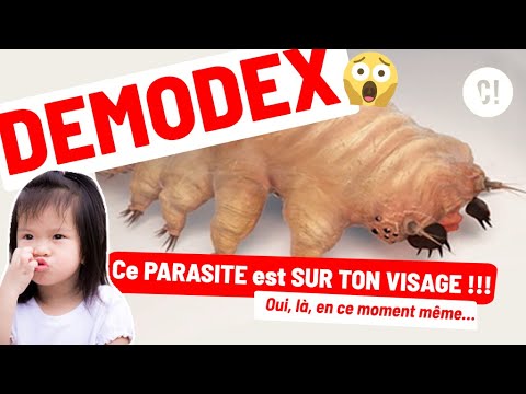 Vidéo: Demodex vit-il sur votre visage ?