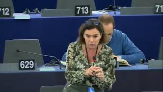 Intervento in aula di Elisabetta Gualmini sul bilancio generale dell'UE 2020