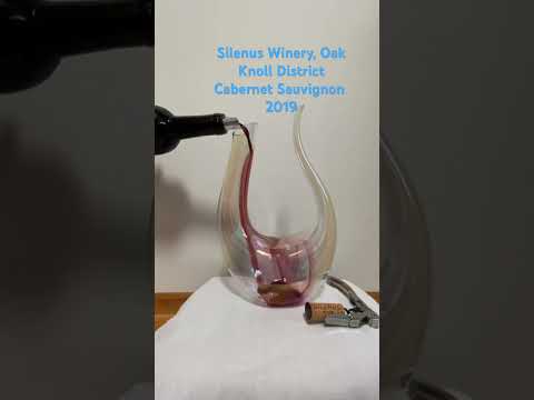 ვიდეო: ვის ეკუთვნის ღვინის ქარხანა სილენუსი?