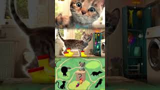 Little Kitten Adventure - Fun Games, Learning About Animals And Caring For A Cute Little Cat